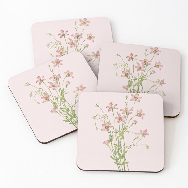 Item preview, Vintage Botanical Flower Art - Salt-marsh pink - Rose-gentian - Sabatia stellaris designed and sold by AlleghenyDesign.