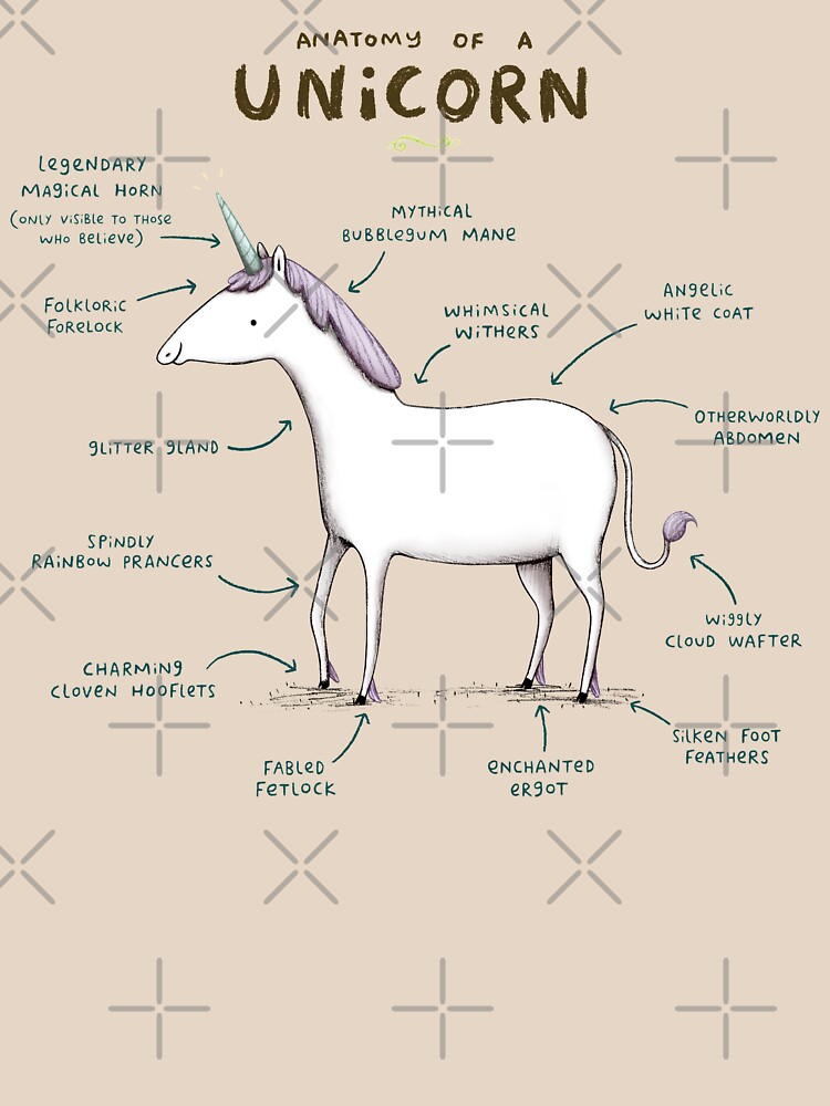 unicorn body drawing