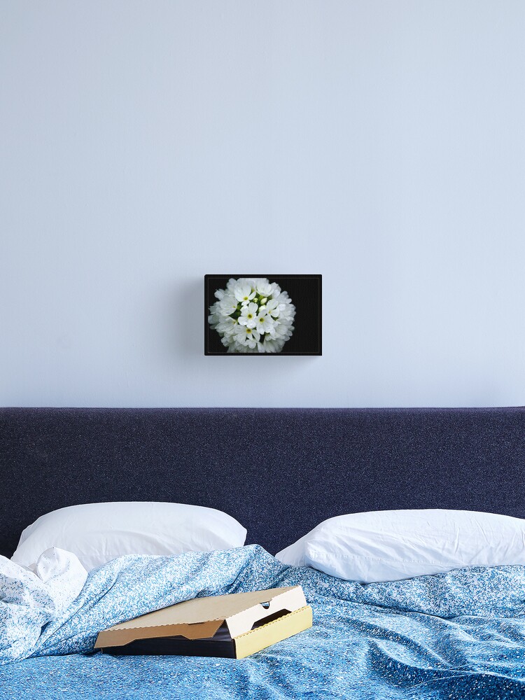 Imagen 2 de 3, Lienzo con la obra Primula, diseñada y vendida por orchiddesign.