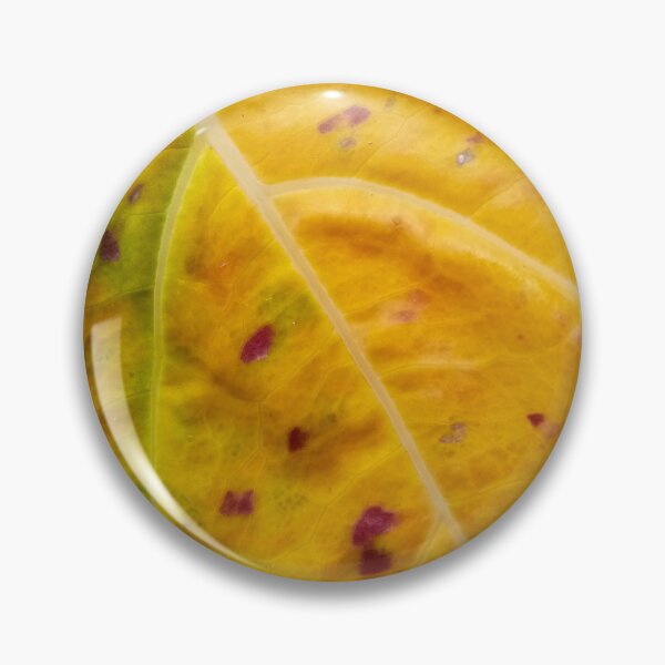Item preview, Old leaf closeup designed and sold by Gaspar Avila.