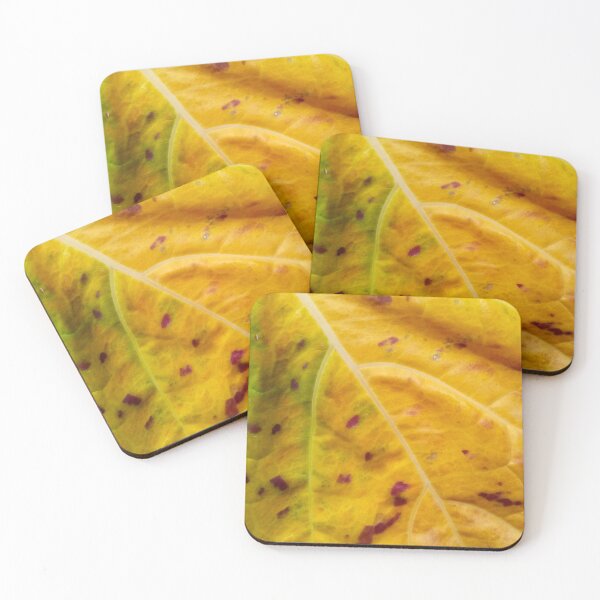 Item preview, Old leaf closeup designed and sold by Gaspar Avila.