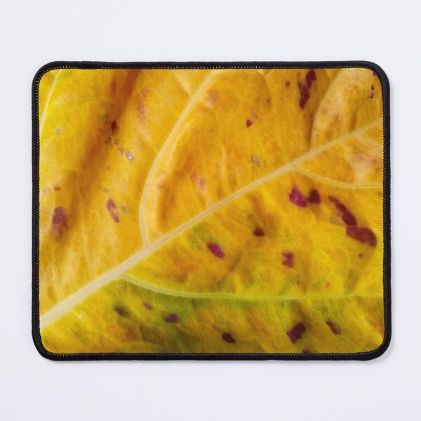Item preview, Old leaf closeup designed and sold by Gaspar Avila.