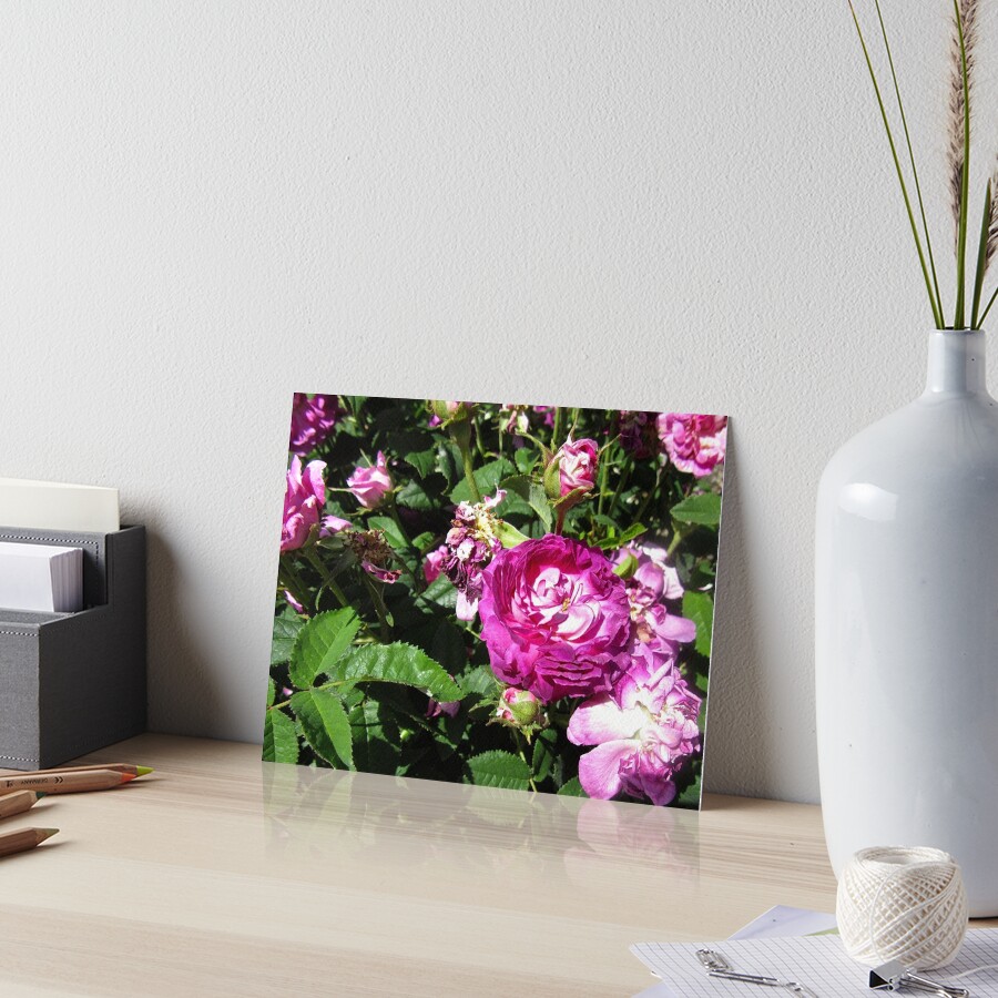 Item preview, Art Board Print designed and sold by Shulie1.