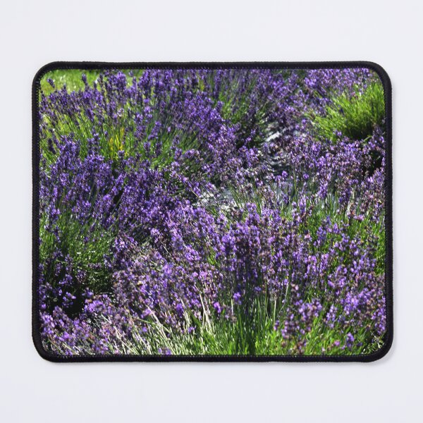 Item preview, Lavender designed and sold by eevee135.