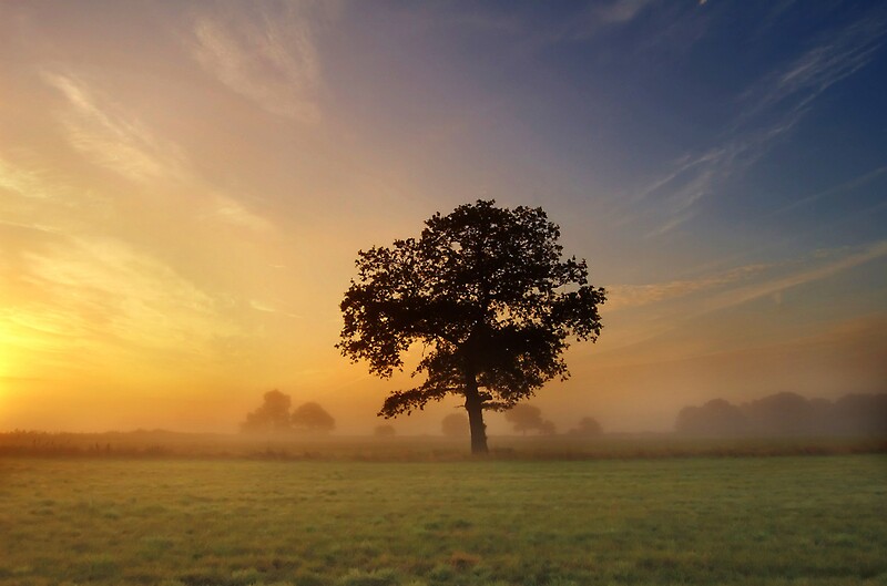 "Peaceful Skies" by Andrew Leighton | Redbubble