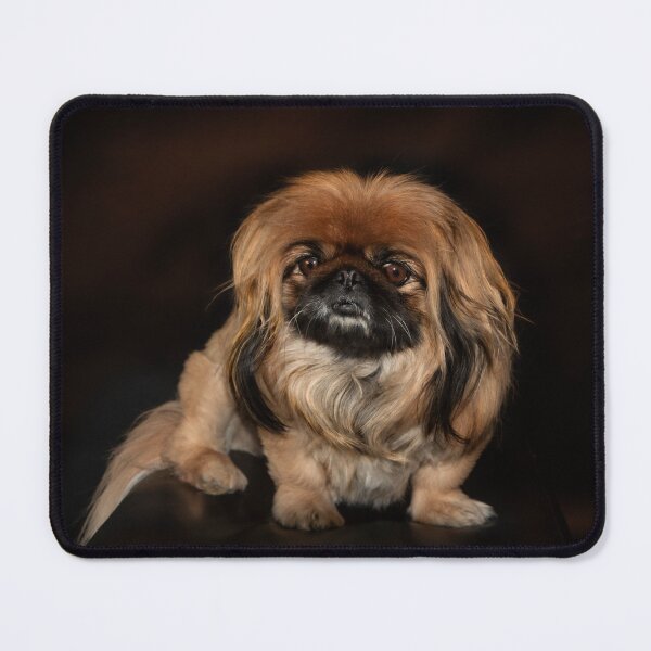 Item preview, Lovely Pekingese Dog designed and sold by RonelBroderick.