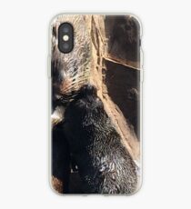 Nearly nose to nose iPhone-Hülle & Cover
