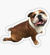 bulldog Sticker