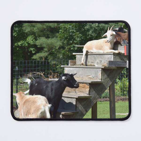 Item preview, Goats on stairs designed and sold by eevee135.