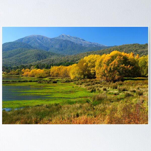 Item preview, Mount Beauty designed and sold by Darren Stones.