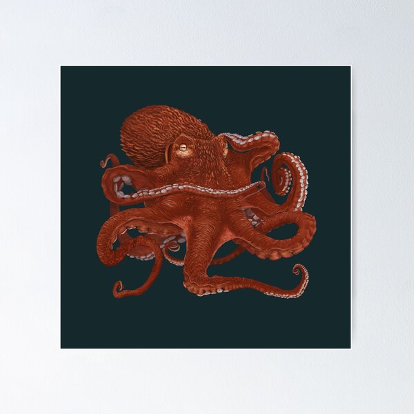 Item preview, Giant Pacific Octopus designed and sold by ChristinaSeas.