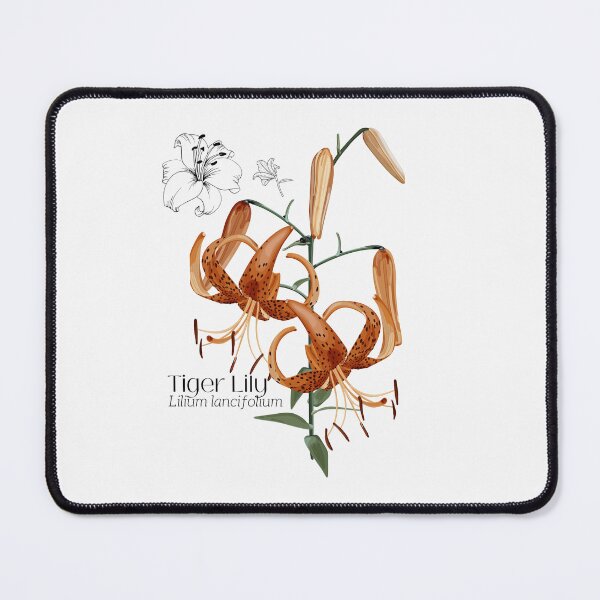 Item preview, Orange Tiger Lily Colorful Illustration Design designed and sold by EarthArtDesigns.