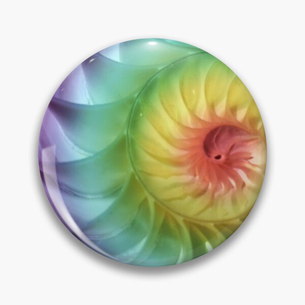 Item preview, nautilus shell cross section symmetry spiral Fibonacci sequence half slice natural pattern structure growth golden ratio (nautilus pompilius) seashell  designed and sold by cheekylorns.
