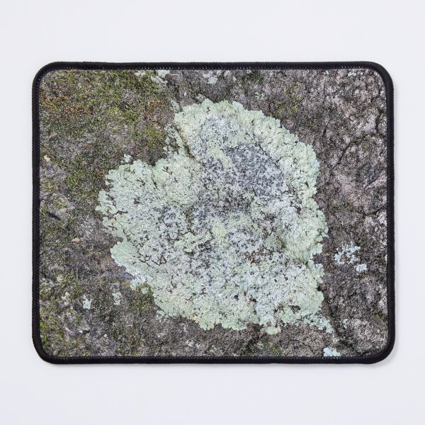 Item preview, In Love with Trees designed and sold by MandLDesigns.