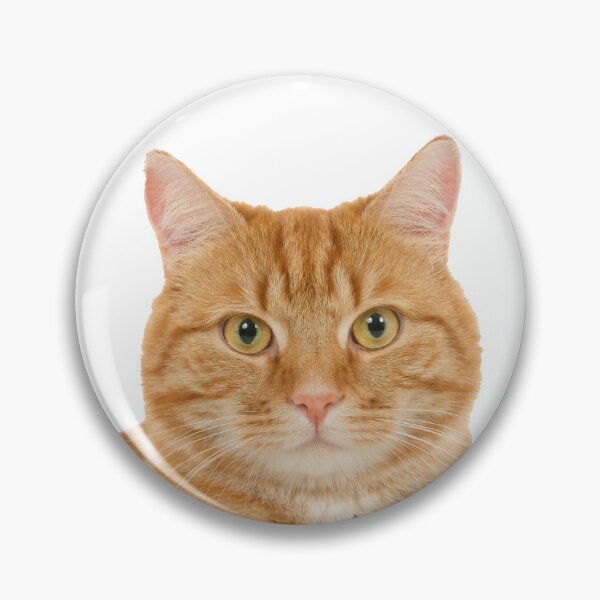 Item preview, Funny cute kawaii Ginger cat focus look designed and sold by flomishop.