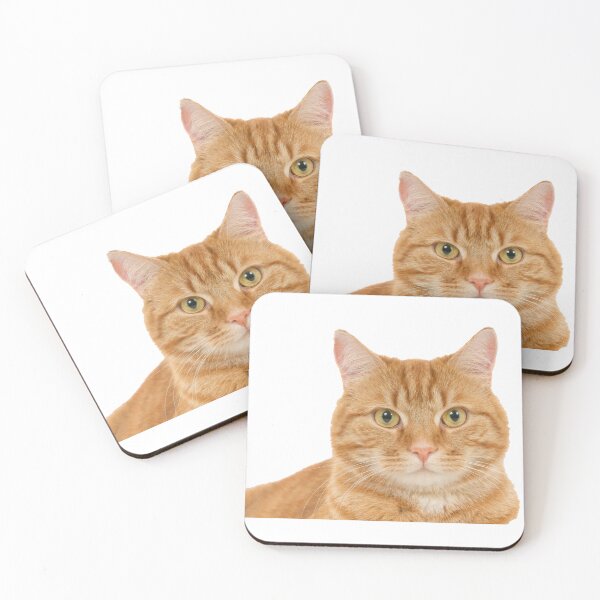 Item preview, Funny cute kawaii Ginger cat focus look designed and sold by flomishop.