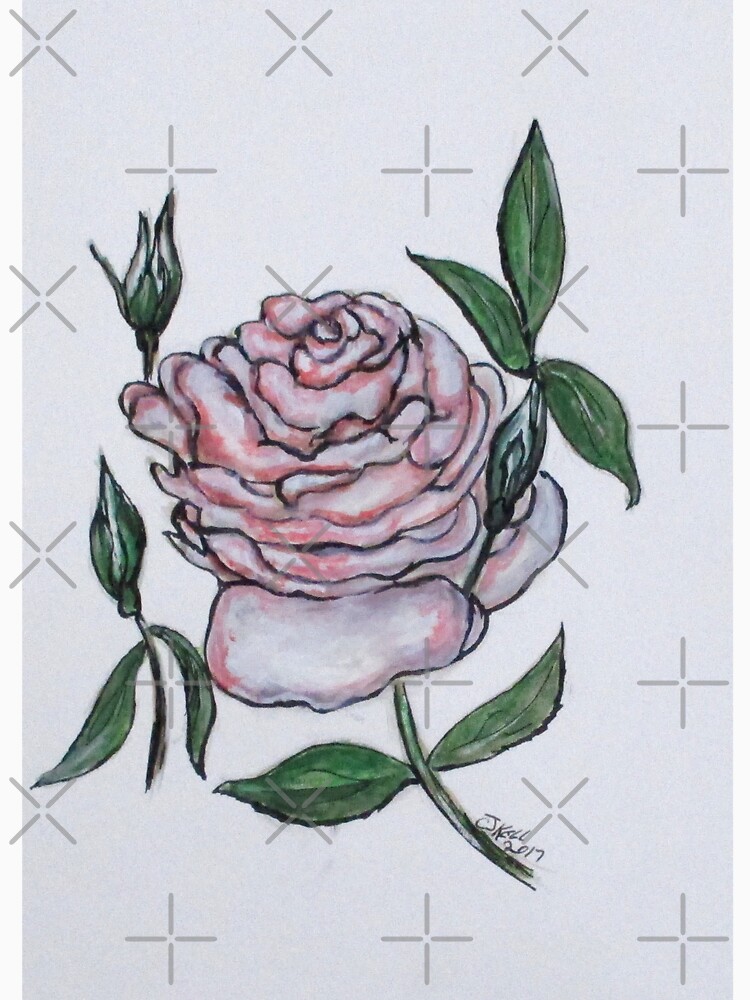 Pink And White Rose by cjkell