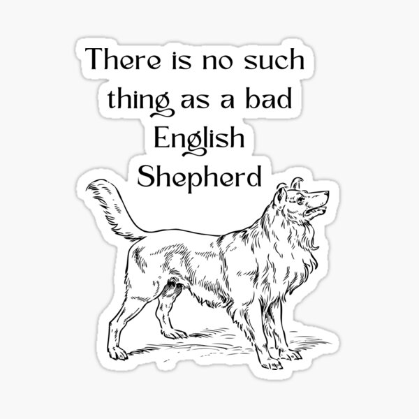 Plush Dog Bobtailold English Shepherd 