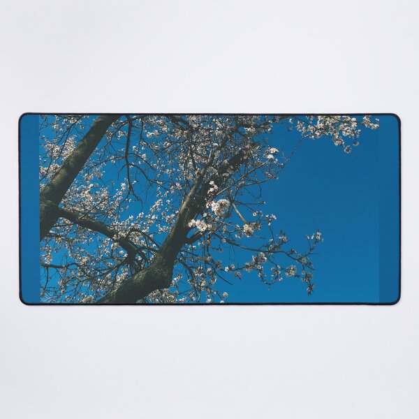 Item preview, blossoms of a tree and the blue sky designed and sold by greatnorris.