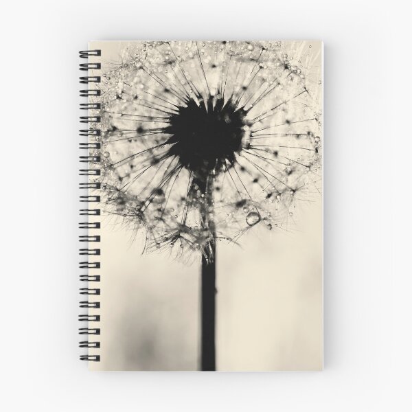 Item preview, Flower photography - Dandelion - silver floral print designed and sold by Ingrid Beddoes Photography.