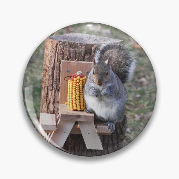 Item preview, Cute Eastern Grey squirrel enjoying some corn on his own little bench designed and sold by jodi payne.