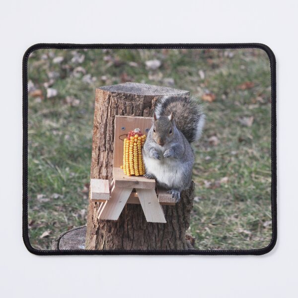 Item preview, Cute Eastern Grey squirrel enjoying some corn on his own little bench designed and sold by jodi payne.
