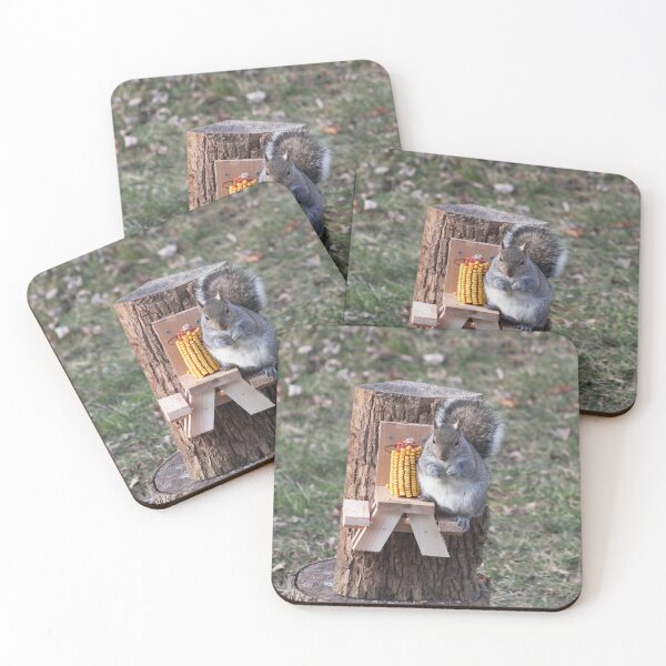 Item preview, Cute Eastern Grey squirrel enjoying some corn on his own little bench designed and sold by jodi payne.