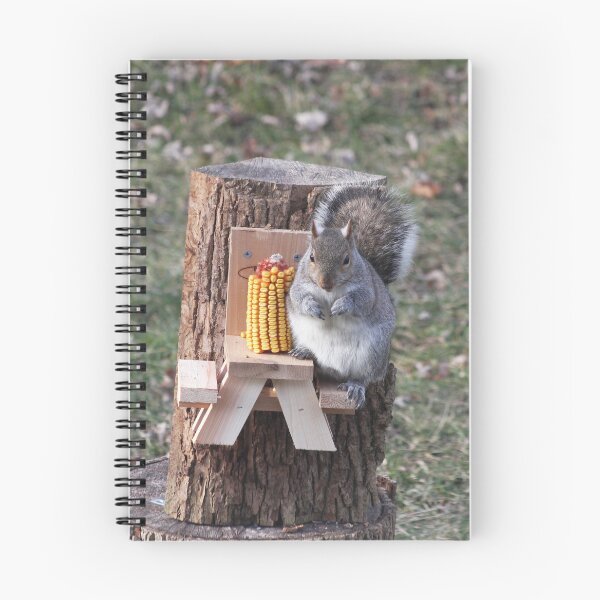 Item preview, Cute Eastern Grey squirrel enjoying some corn on his own little bench designed and sold by jodi payne.