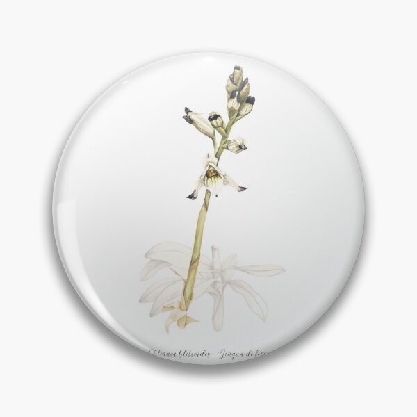 Item preview, chilean orchid designed and sold by ninalatorre.