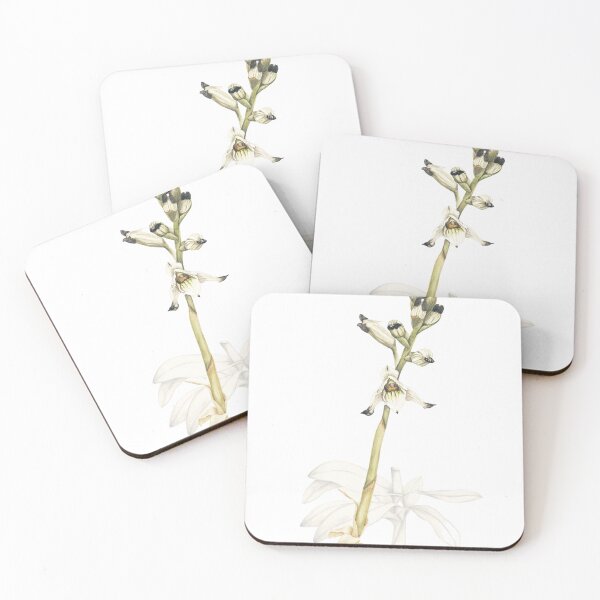 Item preview, chilean orchid designed and sold by ninalatorre.