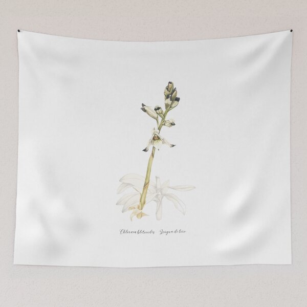 Item preview, chilean orchid designed and sold by ninalatorre.