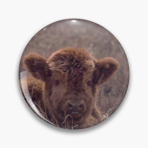 Item preview, Highland calf designed and sold by koalas1414.