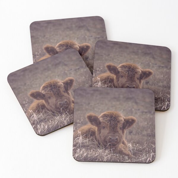 Item preview, Highland calf designed and sold by koalas1414.