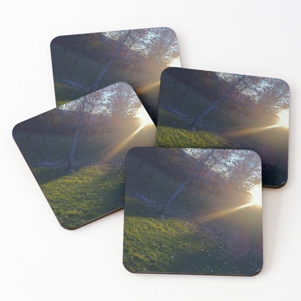 Item preview, Nature Lights our Path designed and sold by Jairo Guarin.