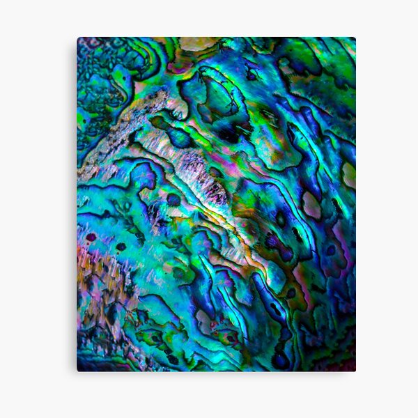 Aperçu de l'œuvre Motif de texture abstrait de coquille d'ormeau de Paua, coquille d'ormeau de Paua polie, fond Haliotis de coquille d'ormeau de Paua multicolore, coquille d'ormeau de Paua en nacre brillante créée et vendue par Trendymotion.