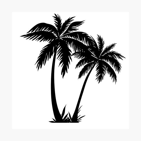 Aperçu de l'œuvre Sticker palmier noir créée et vendue par livpaigedesigns.