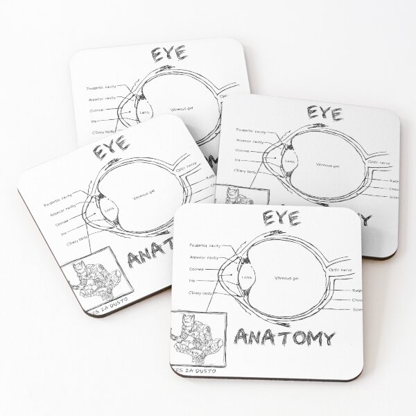 Item preview, eye anatomy designed and sold by Melly-Jellyarts.