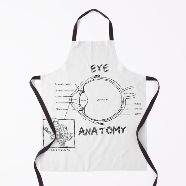 Item preview, eye anatomy designed and sold by Melly-Jellyarts.