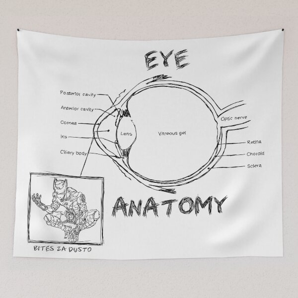 Item preview, eye anatomy designed and sold by Melly-Jellyarts.