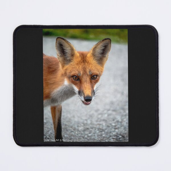 Item preview, Smiling Red Fox designed and sold by Annariaart.