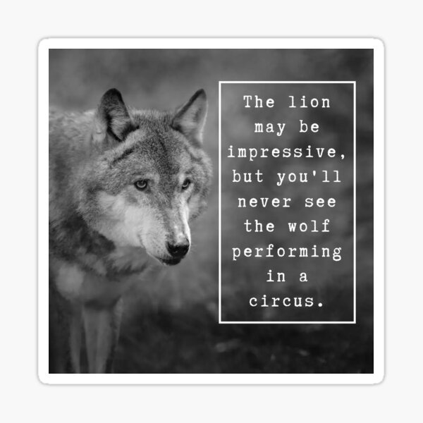 "Wolf Quote. The Lion May Be Impressive, But You'll Never See The Wolf
