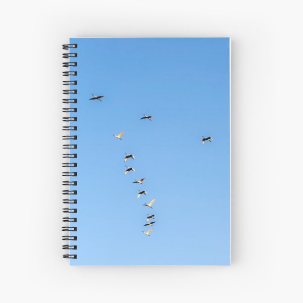 Artikel-Vorschau von Eine Herde grauer Kräne fliegen bei Sonnenaufgang, designt und verkauft von Emma Grimberg.