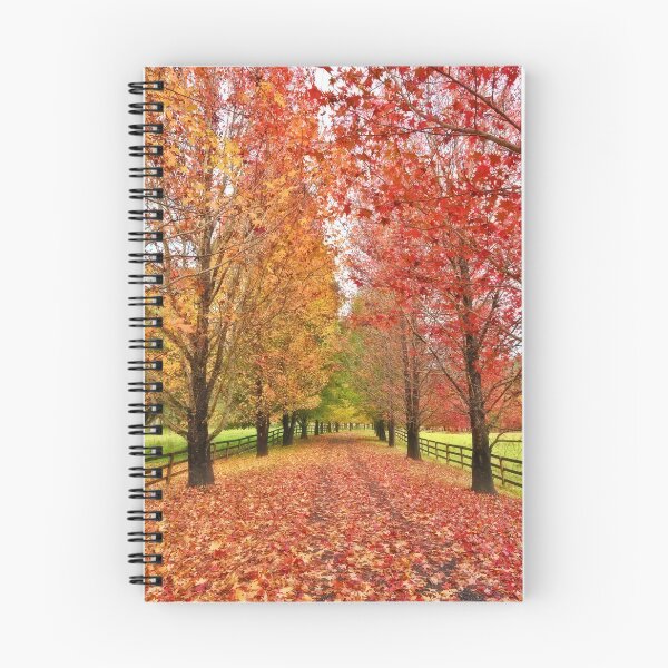 Item preview, Autumn Path designed and sold by Beata  Cz.  Young.