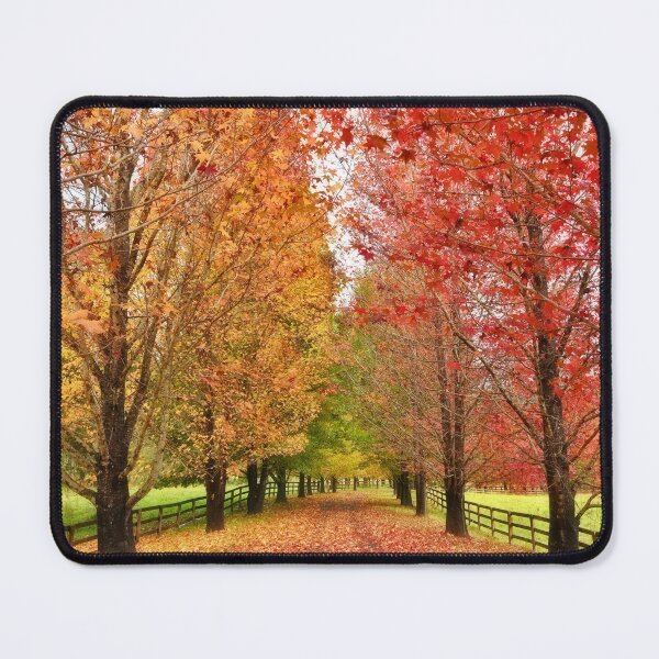 Item preview, Autumn Path designed and sold by Beata Cz. Young.