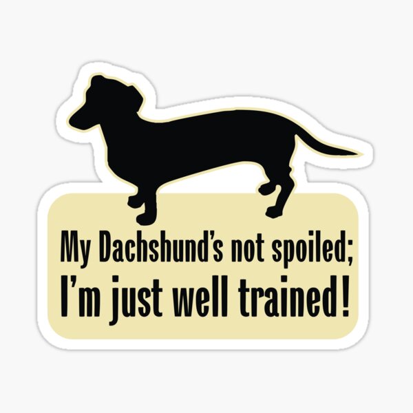 Item preview, My Dachshund Spoiled? designed and sold by Futurebeachbum.