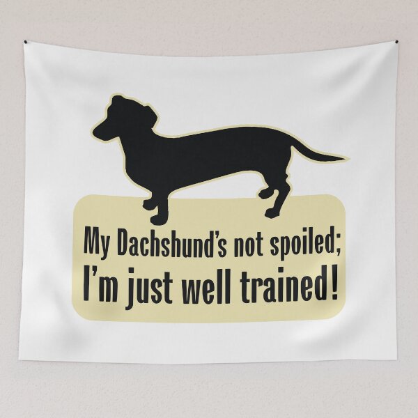 Item preview, My Dachshund Spoiled? designed and sold by Futurebeachbum.