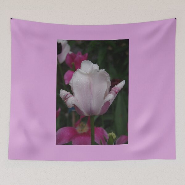 Item preview, A Pretty White And Purple Tulip designed and sold by lezvee.
