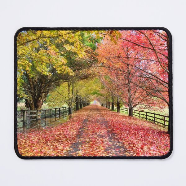 Item preview, Autumn Path 2 designed and sold by Beata Cz. Young.