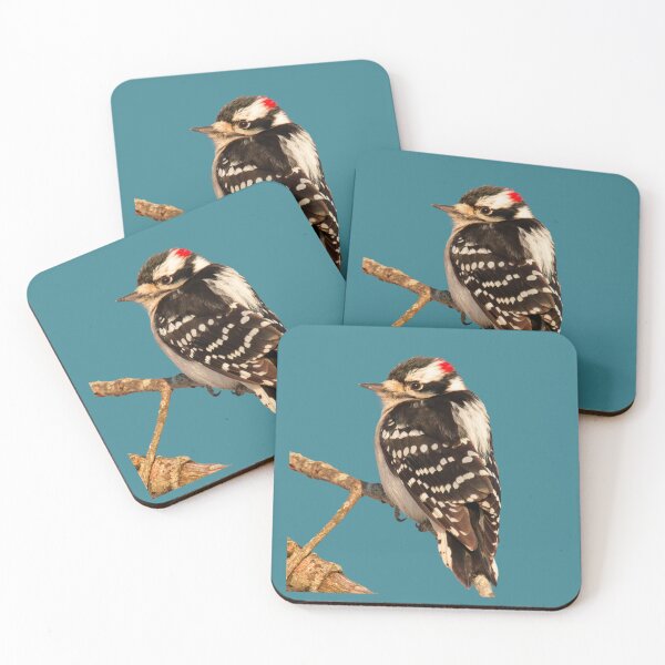Item preview, Downy Woodpecker with no background designed and sold by BirdsnStuff.