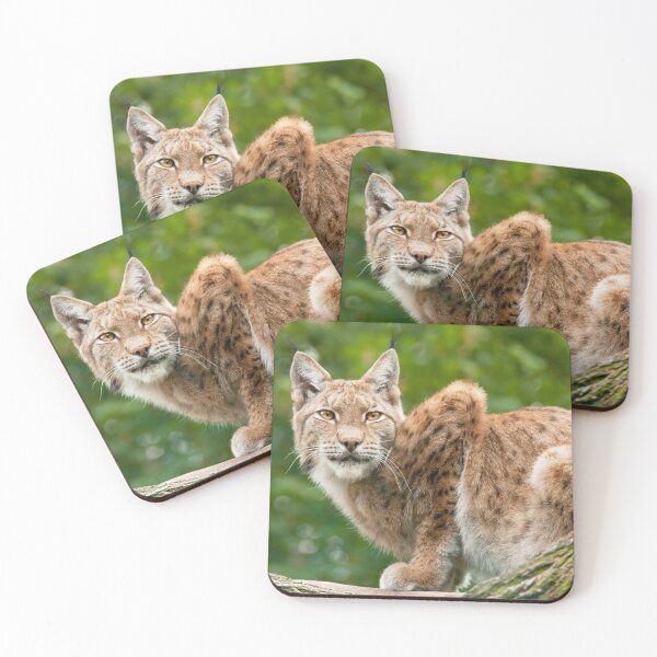 Item preview, Golden eyes designed and sold by Dominika Aniola.